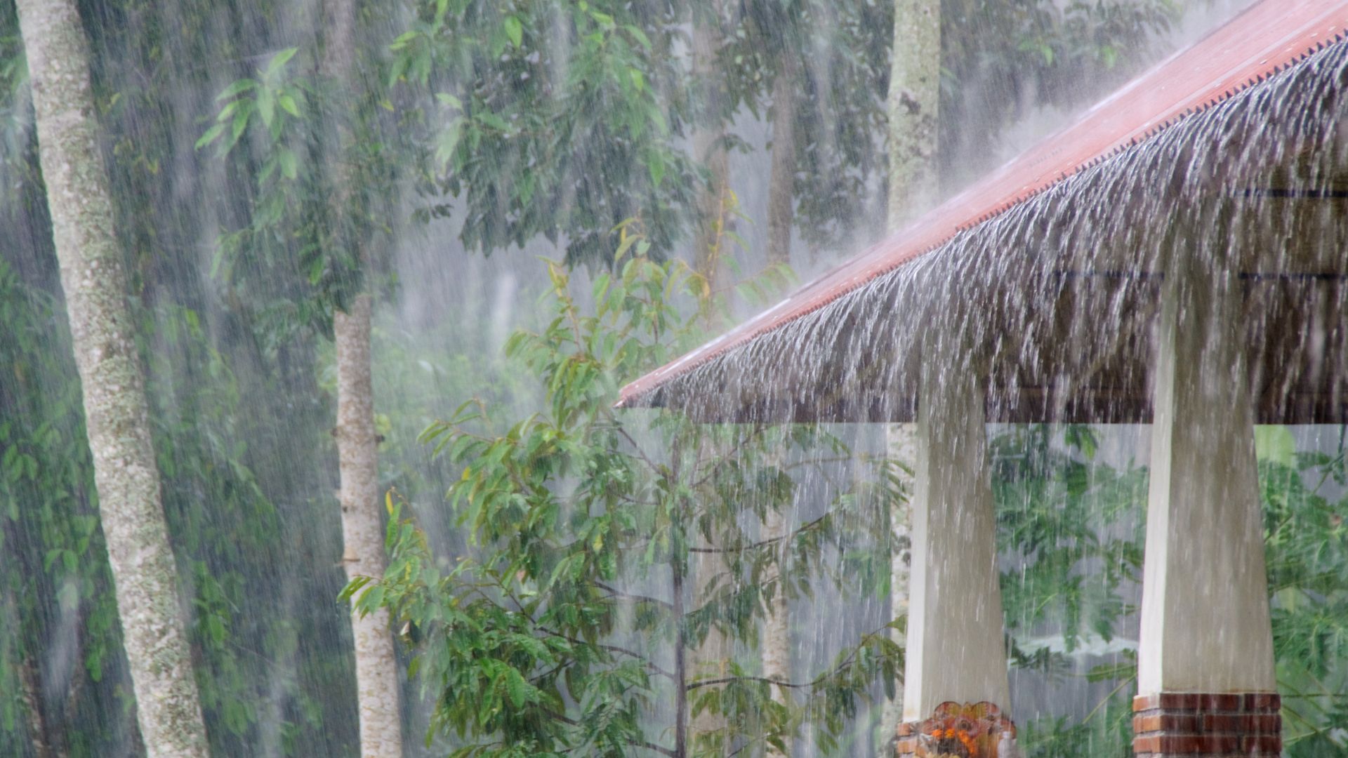 Rain pouring on a house